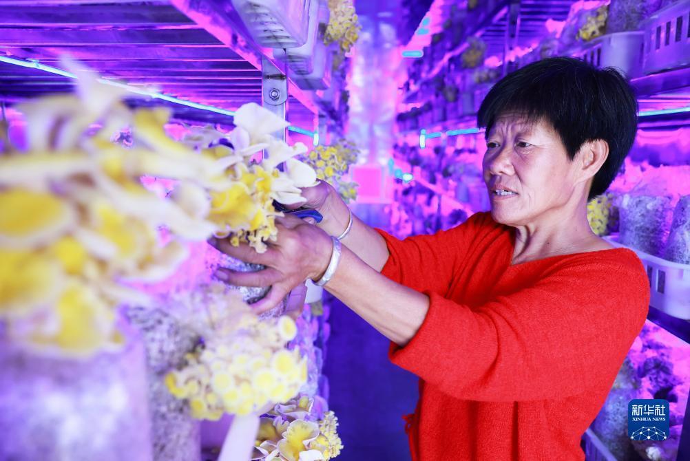 2025澳门百利宫